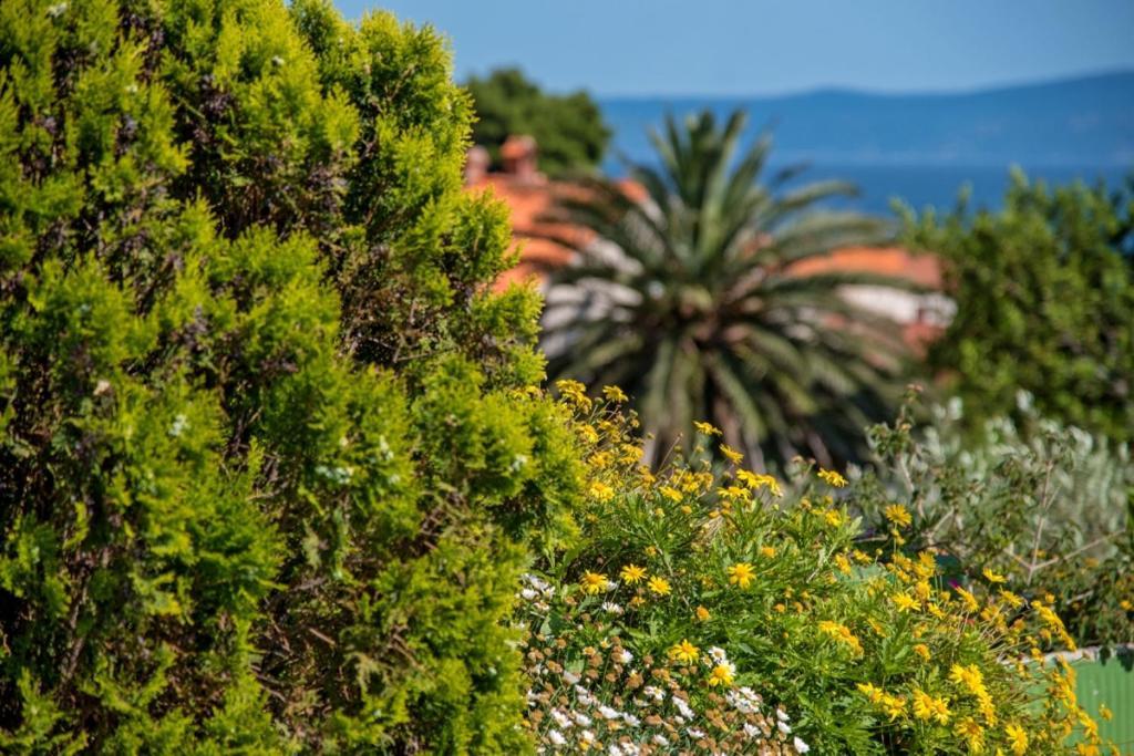 Apartment In Bol With Seaview, Terrace, Air Condition, Wifi Exteriör bild